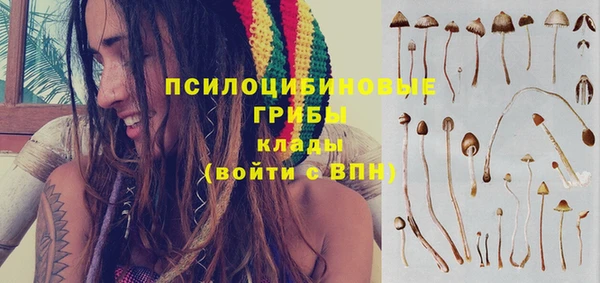 индика Абинск