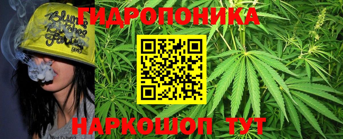 Конопля конопля Арсеньев